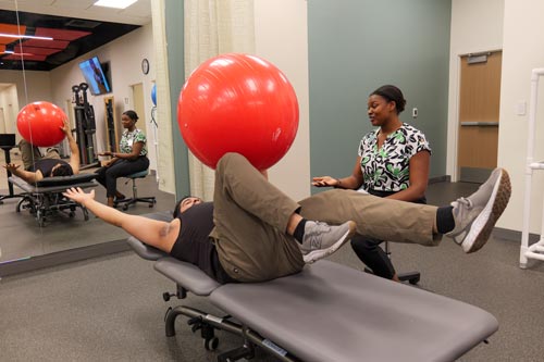 Physical Therapy